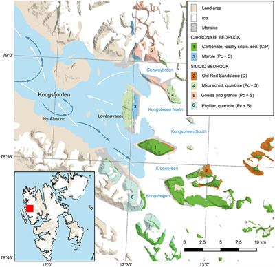 Tidewater Glaciers and Bedrock Characteristics Control the Phytoplankton Growth Environment in a Fjord in the Arctic